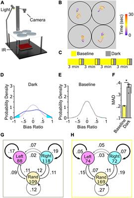 Environmental and Molecular Modulation of Motor Individuality in Larval Zebrafish